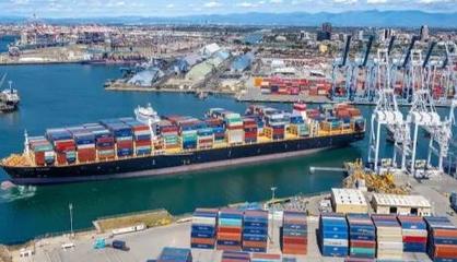 看不懂船公司订舱单S/O文件的外贸人请看过来(国际海运提单详解)