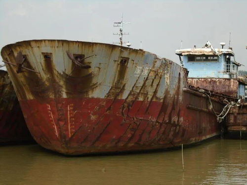 国际船舶运输市场动态 运泥船‘深浚驳001’等船舶拍卖信息解析