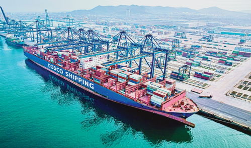 大连港 高效通关与便利贸易，引领国际船舶运输新篇章